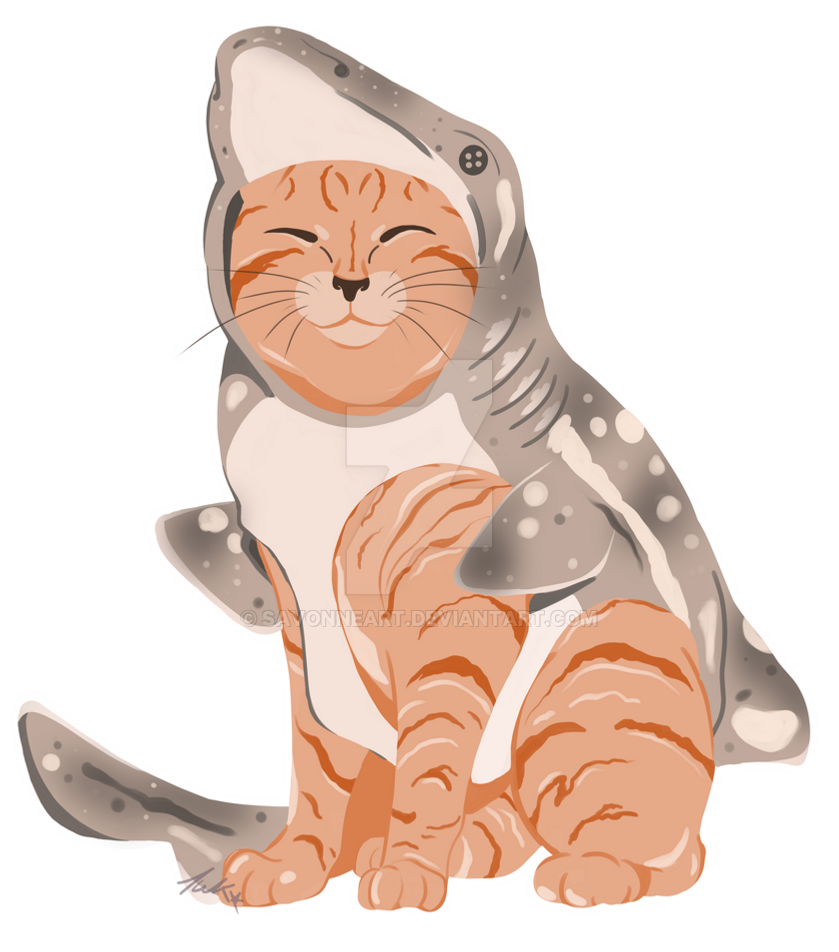 Kitty Cat Shark by SavonneArt on DeviantArt