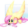 Spider :3