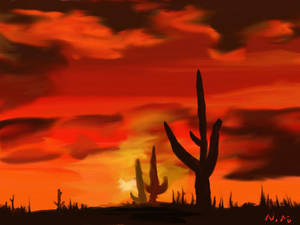 desert sunset