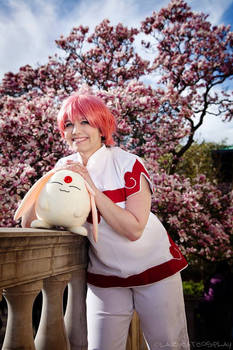 MKR: Sakura Matsuri