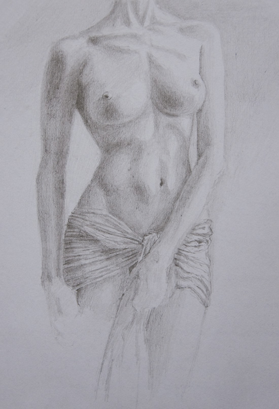 Torso study