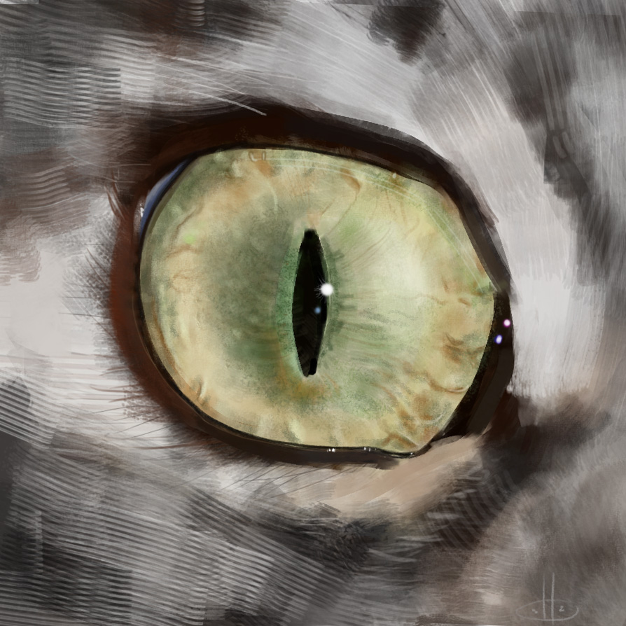 Cat eye study