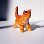 Orange kitty :3