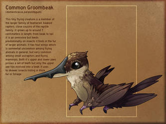 Groombeak