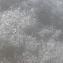 Snow Texture