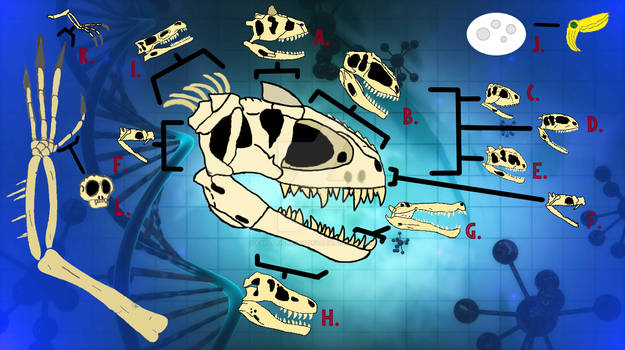 Indominus rex: Skull Profile