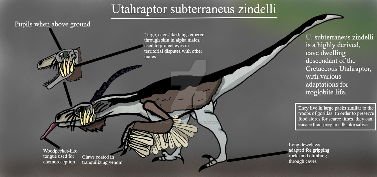 Utahraptor subterraneus Paul Zindel's Raptor by Evolutionfactory on ...