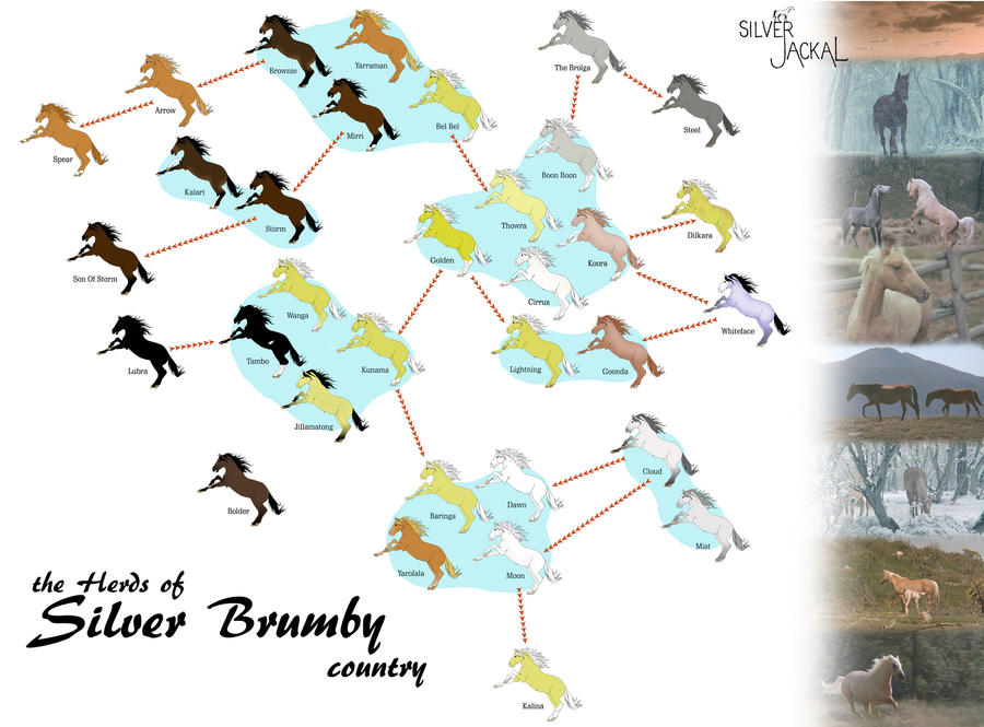 The Herds of the Silver Brumby Country