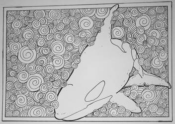 Orca WIP