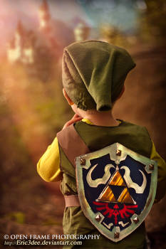 Hyrule Awaits