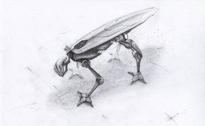 Robot_fly