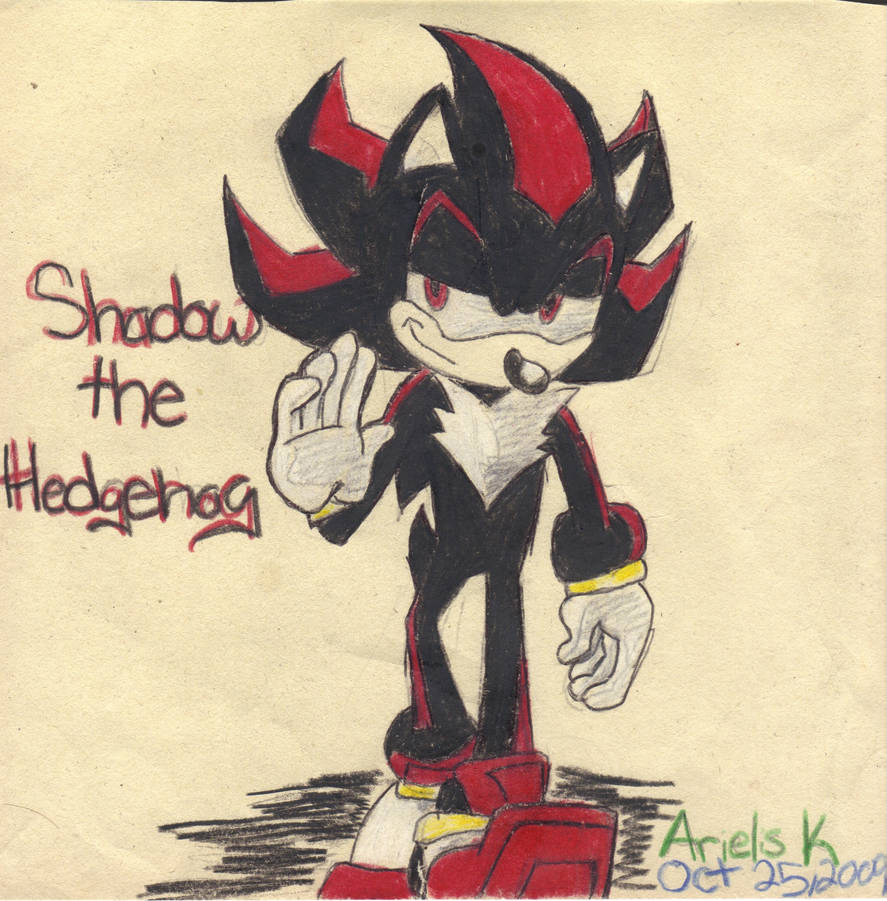 shadow fan art by rebecca-the-chipmunk on DeviantArt