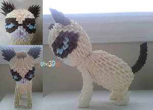 3D Origami - Grumpy Cat by Jobe3DO