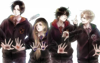 Harry Potter Hogwarts Classes