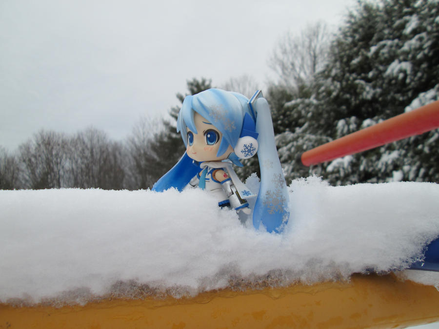 Snow Miku 6