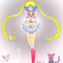 Sailor Moon Artemis Diana Luna