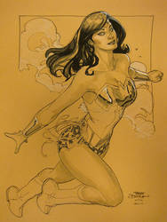 Wonder Woman New York 2010 by TerryDodson