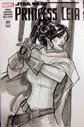 Princess Leia from SDCC
