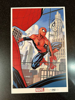 Amazing Spider-Man Print
