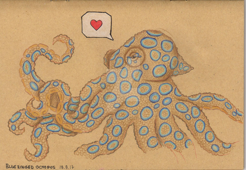 Blue Ringed Octopus Animation Blue ringed octopus by OpheliaFromHell on DeviantArt