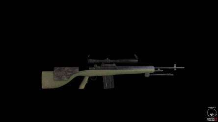 dayz DMR