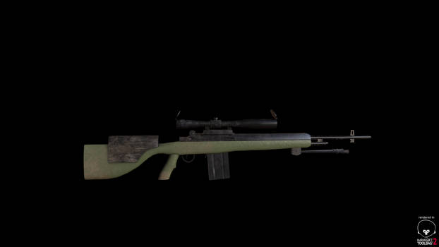 dayz DMR