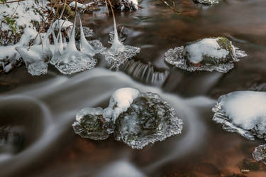 Dentelle de glace 4 copie