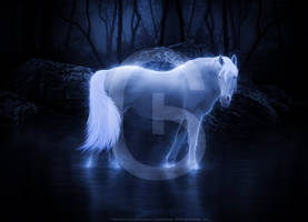 Ghost Lake