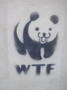 WTF panda