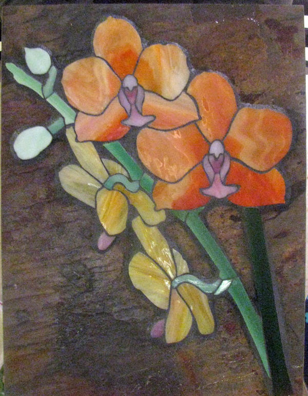 Jean S Orchids By Sandevolver On DeviantArt