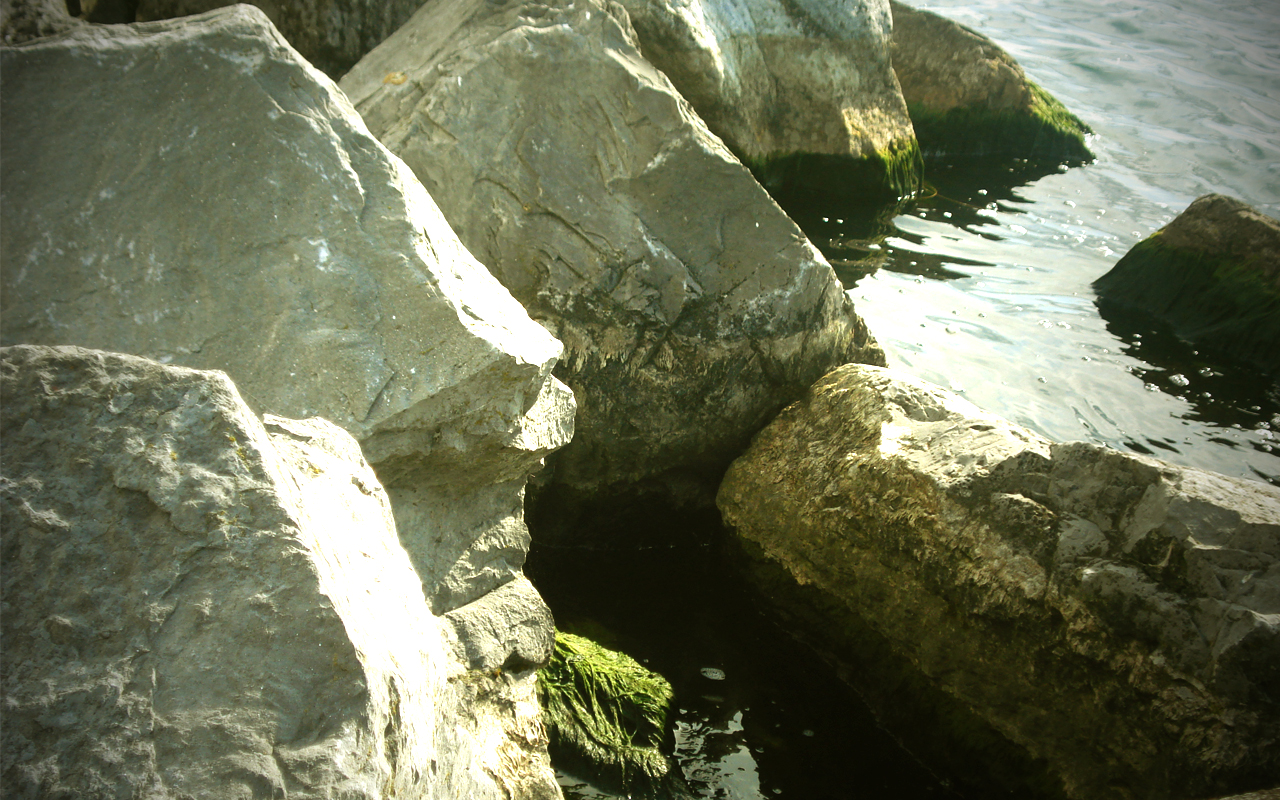 Rocks n' Water