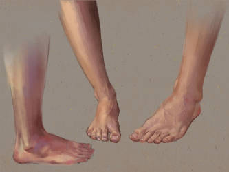Feet studies