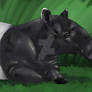 Malayan Tapir