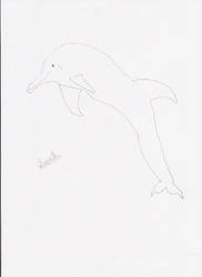 Dolphin