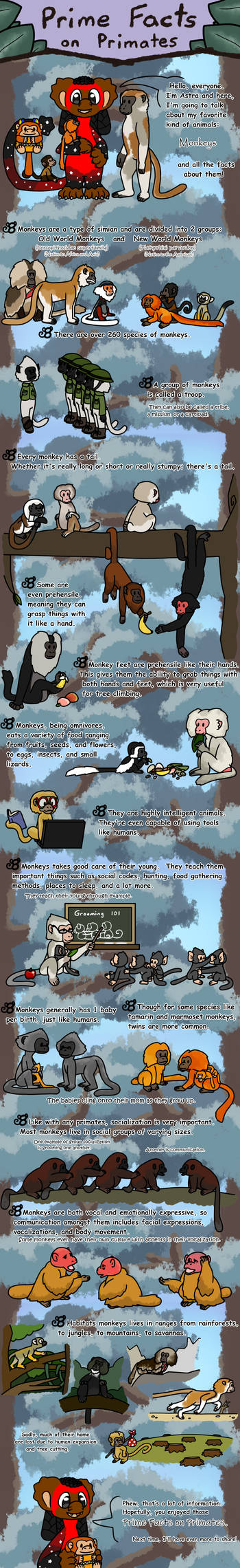 Primates Deviantart Base Prime Facts on Primates #2 by MoonbowDragon on DeviantArt