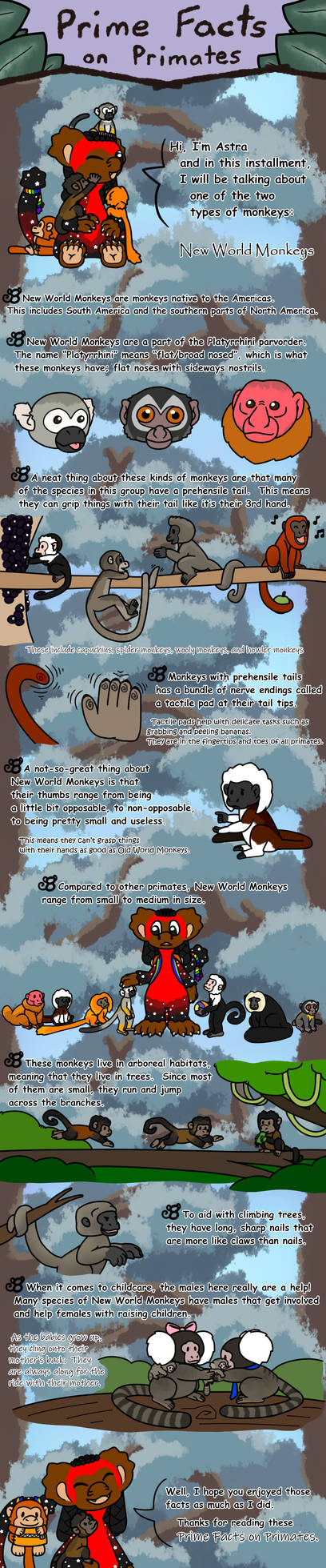 Primates Deviantart Base Prime Facts on Primates #4 by MoonbowDragon on DeviantArt