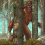 The Sasquatch