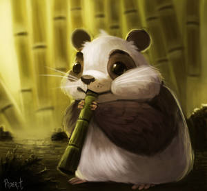 DAY 60. Panda? (35 Minutes)