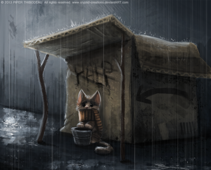 DAY 236. Homeless Kitty