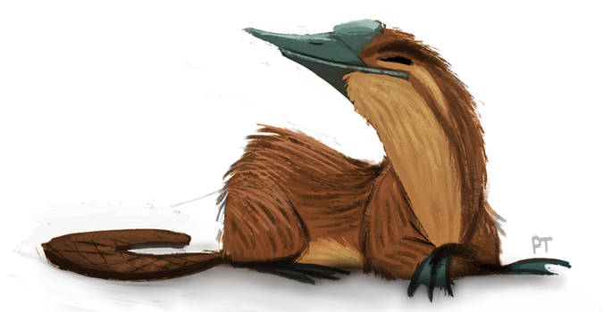 DAY 430. Platypus