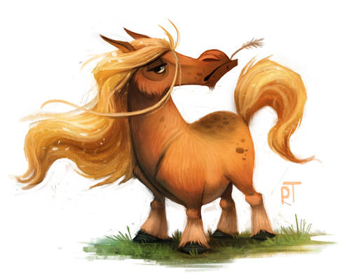 Sketch Dailies Challenge - Cool Shetland Pony