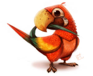 Daily Painting 612# Macaw