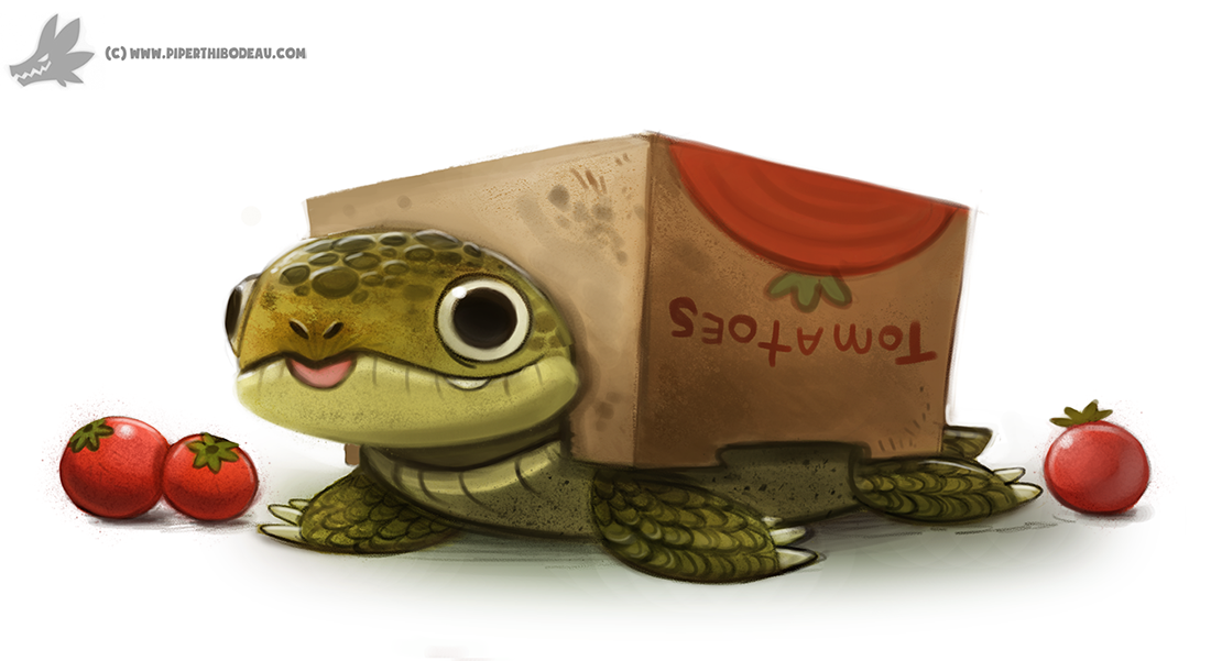 Daily Painting 908# Box Turtle