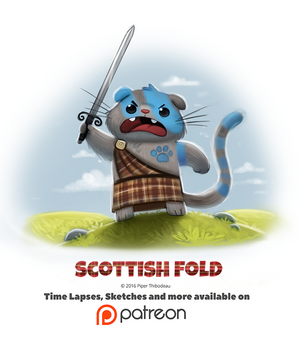 Day 1394. Scottish Fold
