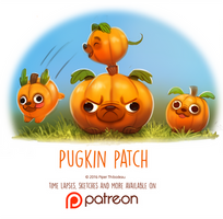 Day 1417. Pugkin Patch