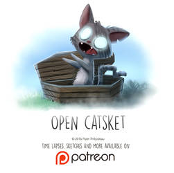Day 1438. Open Catsket