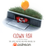 Day 1440. Clown Fish