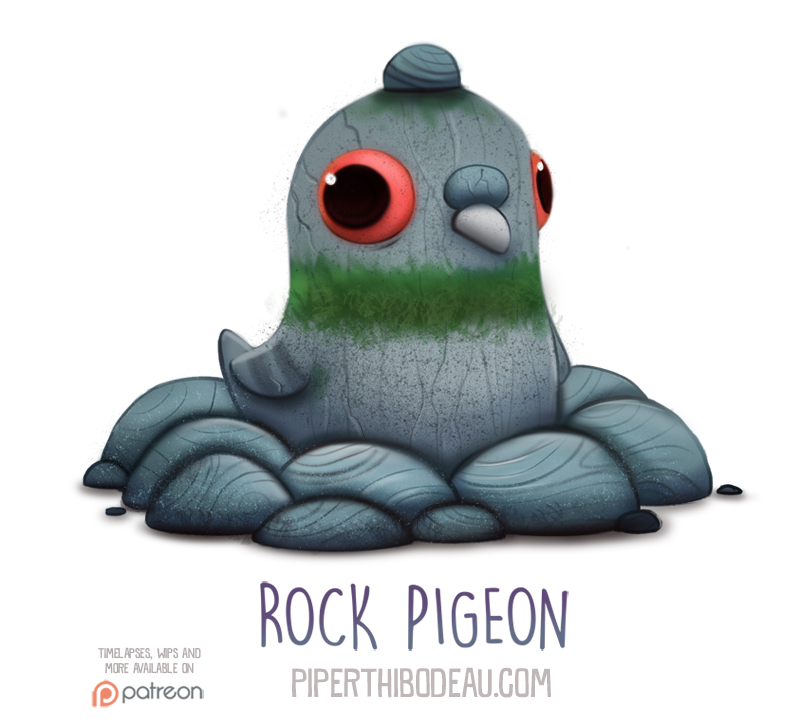 Daily Paint 1554. Rock Pigeon