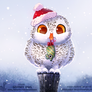 Daily Paint 1856# Snowy Owl