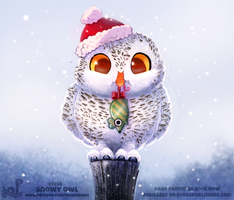 Daily Paint 1856# Snowy Owl